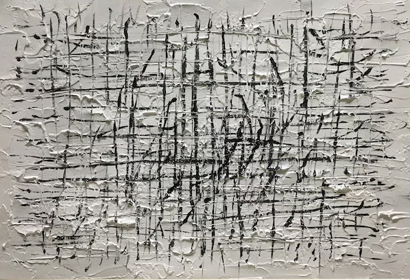 Intricate Chaos Abstract Black and White Textured Canvas #AP 047