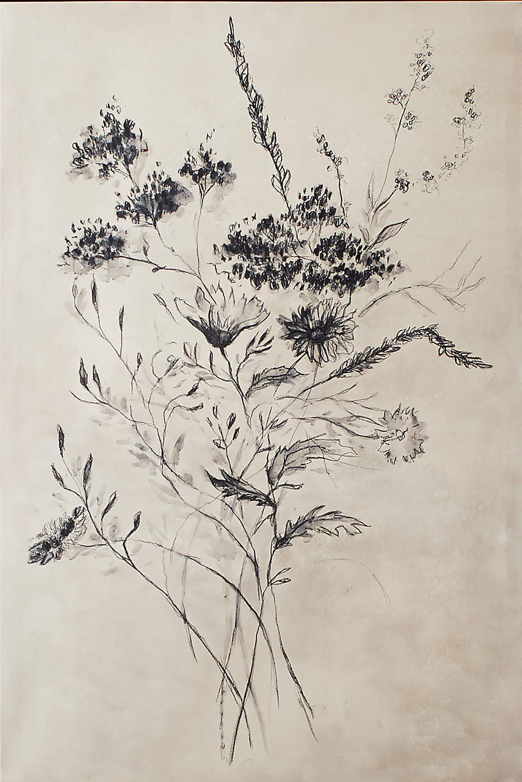 Minimalist Floral Black & White Canvas Art #FT 060