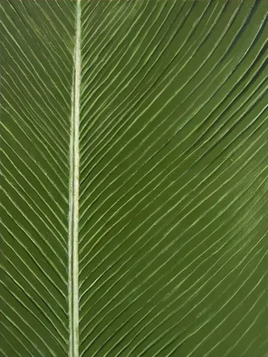 Green Leaf Abstract Art Botanical Wall Decor for Modern Spaces #AP 064